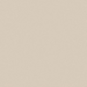 Gạch lát nền Viglacera 800×800 TS5-801