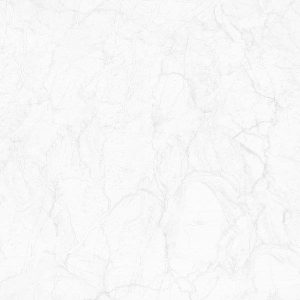 Gạch lát nền Viglacera 800×800 ECO S8806