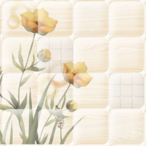 Gạch ốp tường Viglacera 300×600 F3634A