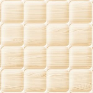 Gạch ốp tường Viglacera 300×600 F3634