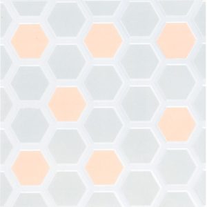Gạch lát nền Viglacera 300×300 N318
