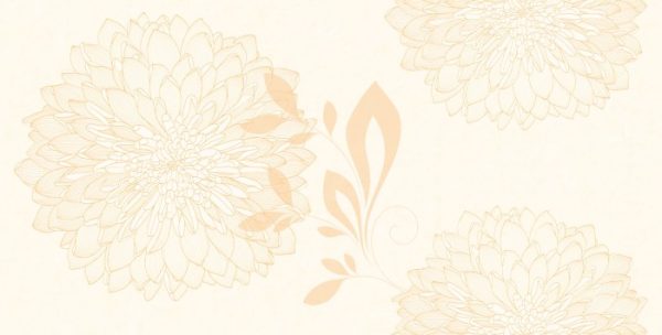 Gạch ốp tường Viglacera 300×600 F3618A