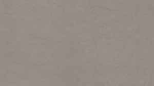 Gạch ốp tường Viglacera 300×600 BS3612