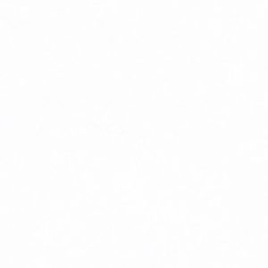 Gạch ốp tường Viglacera 300×600 F3610