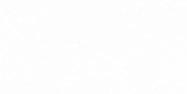 Gạch ốp tường Viglacera 300×600 F3610