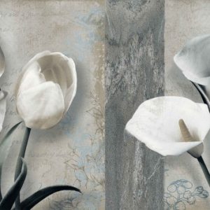 Gạch ốp tường Viglacera 300×600 BS3642A