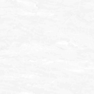 Gạch lát nền Viglacera 500×500 H510