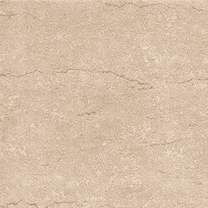 Gạch ốp tường Viglacera 300×600 F3602