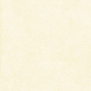 Gạch lát nền 400×400 Viglacera M420
