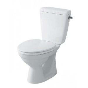 Bồn Cầu Hai Khối INAX C-117VAN