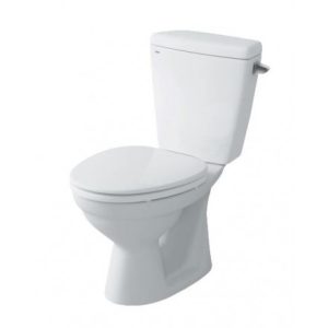 Bồn Cầu Hai Khối Xả Gạt Nắp Thường INAX C-117VA (C117VA)