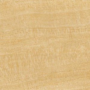 Gạch ốp tường Viglacera 300x600 KT3615