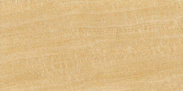 Gạch ốp tường Viglacera 300x600 KT3615