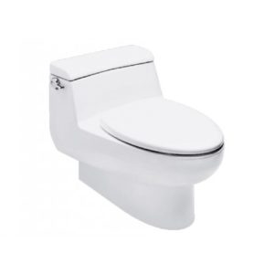 Bàn cầu một khối American Standard 2050-WT Dòng IDS Natural