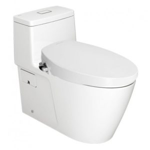 Bồn cầu một khối American Standard VF-1808S Dòng Acacia