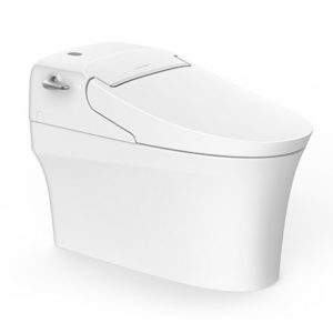 Bồn cầu một khối thông minh American Standard WP-5017 Aerozen G2