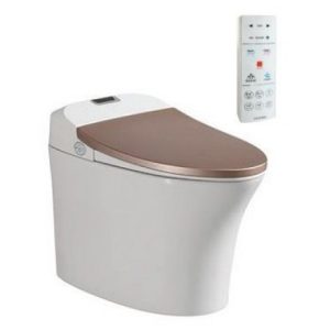 Bồn cầu thông minh Viglacera V-Smart V93GW