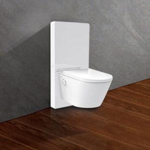 Bồn cầu thông minh treo tường Viglacera Platinum P.16.320 kính trắng