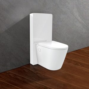 Bồn cầu thông minh đặt sàn Viglacera Platinum P.16.321 kính trắng