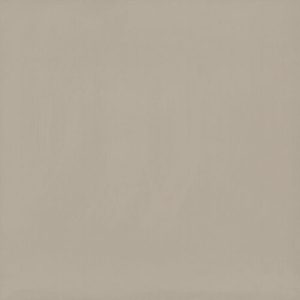 Gạch lát nền Viglacera 800×800 TS6-801