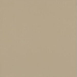 Gạch lát nền Viglacera 800×800 TS6-802