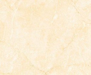 Gạch ốp tường Viglacera 300×600 KT3667