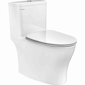 Bồn cầu một khối nắp êm Viglacera Platinum P.11.321