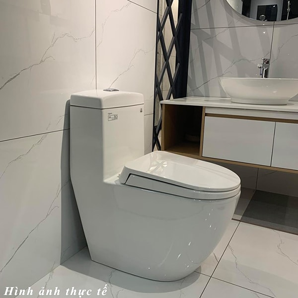 Bồn cầu một khối nắp êm Viglacera V199