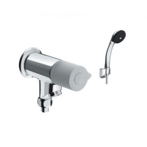 Sen tay lạnh Inax BFV-10-2C