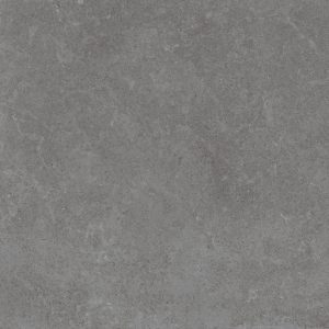 Gạch lát nền Platinum 600×600 PT20-G6603
