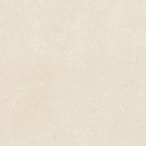 Gạch lát nền platinum 600×600 PT20-G6601