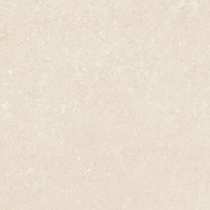 Gạch ốp tường Platinum 300×600 PT20-G3601