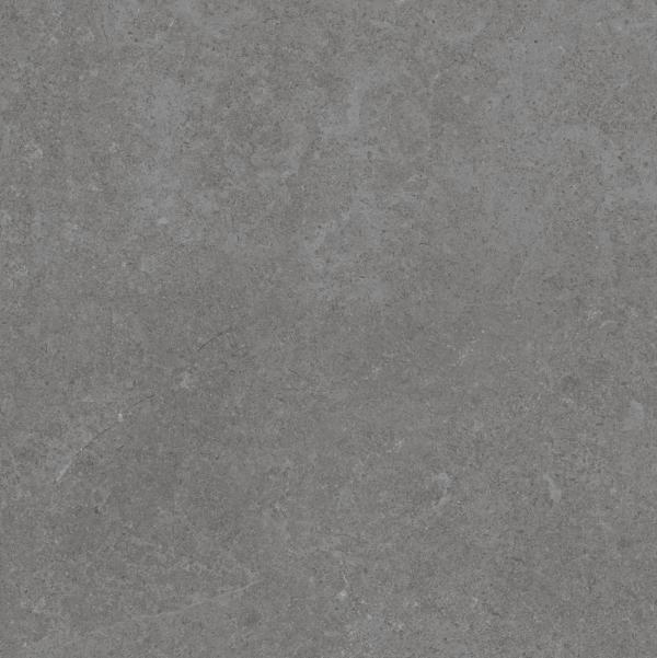 Gạch lát nền Platinum 600×600 PT20-G6603 - Ảnh 2