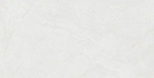 Gạch ốp tường Cửu Long 300×600 CL363 - Ảnh 4
