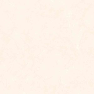 Gạch ốp tường Cửu Long 300×600 CL367