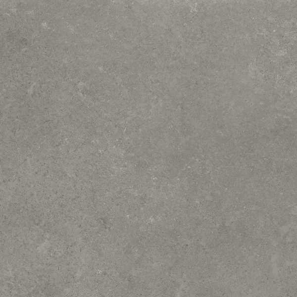 Gạch lát nền Platinum 600×600 PT20-607 - Ảnh 6
