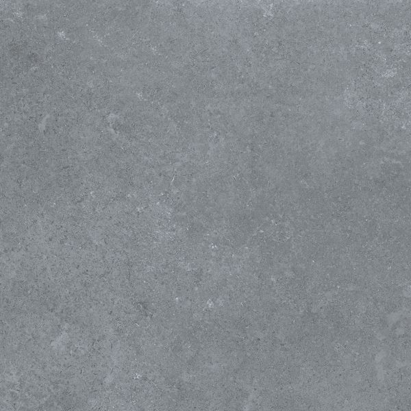 Gạch lát nền Platinum 600×600 PT20-603 - Ảnh 6