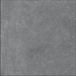 Gạch lát nền Platinum 600x600 PT20-G6605