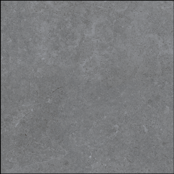 Gạch lát nền Platinum 600x600 PT20-G6605 - Ảnh 3