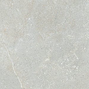Gạch ốp tường Eurotile 450×900 NGC I02