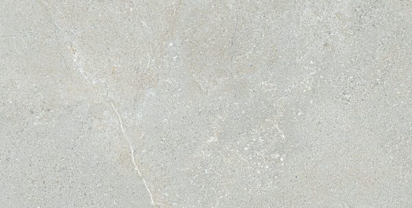 Gạch ốp tường Eurotile 450×900 NGC I02