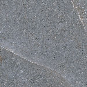 Gạch ốp tường Eurotile 450×900 NGC I03