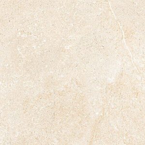 Gạch ốp tường Eurotile 450×900 NGC I04