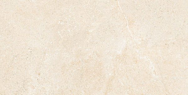 Gạch ốp tường Eurotile 450×900 NGC I04