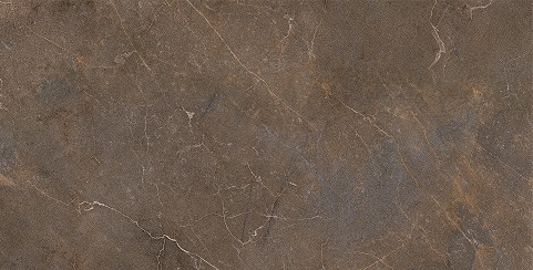 Gạch ốp tường Platinum 300x600 PL36-24 - Ảnh 2