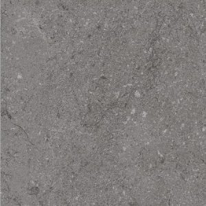 Gạch lát nền Platinum 200×200 PH22-B11