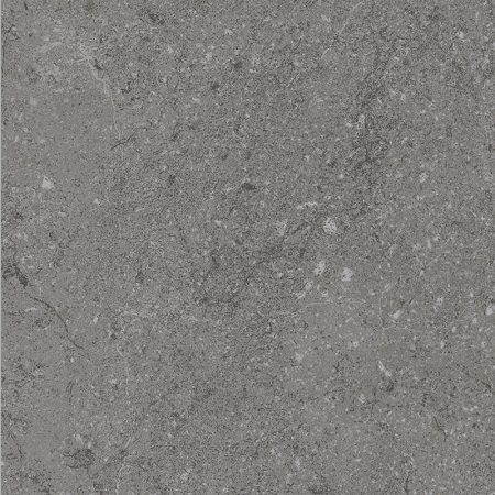 Gạch lát nền Platinum 200×200 PH22-B11