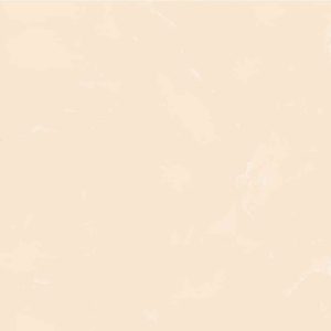 Gạch ốp tường Viglacera 300×600 T3610