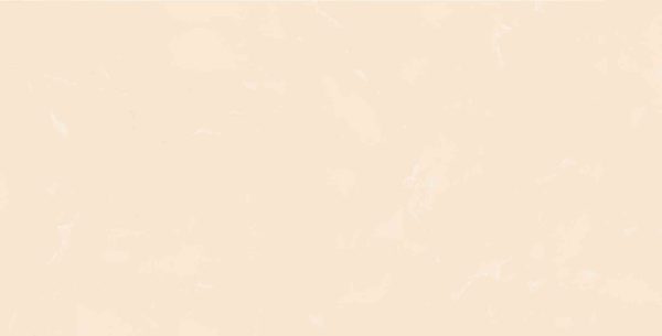 Gạch ốp tường Viglacera 300×600 T3610