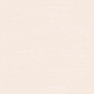 Gạch ốp tường Viglacera 300×600 T366